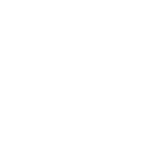 wealthmanagement.com-industry-awards-2021-best-in-portfolio-analytics (white)